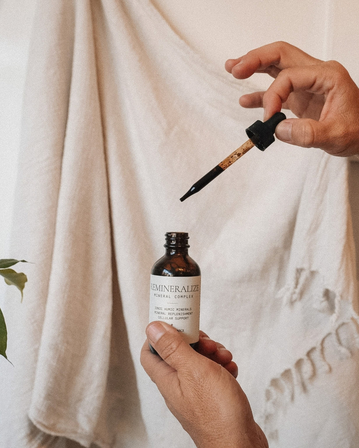 Everyday Bioavailable Remineralize