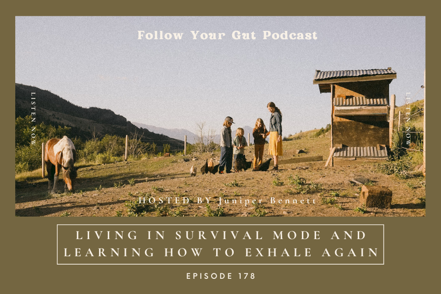 Living in Survival Mode and Learning How to Exhale Again | 179
