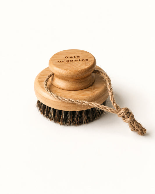 Pathway Dry Brush