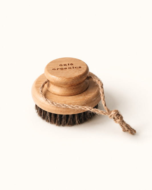 Pathway Dry Brush