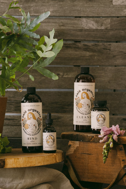 Gut Health Maintenance Bundle