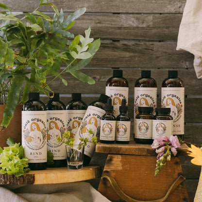 Parasite Cleansing Bundle