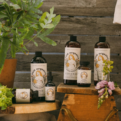 Allergy and Sensitivity Healing Bundle