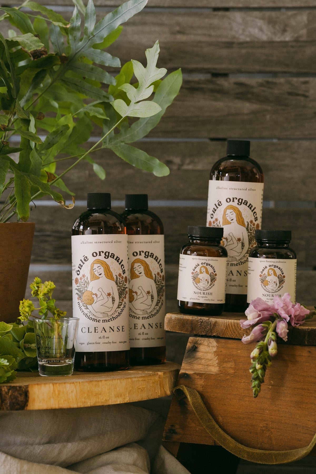 Women's Gut Rebalance Kit