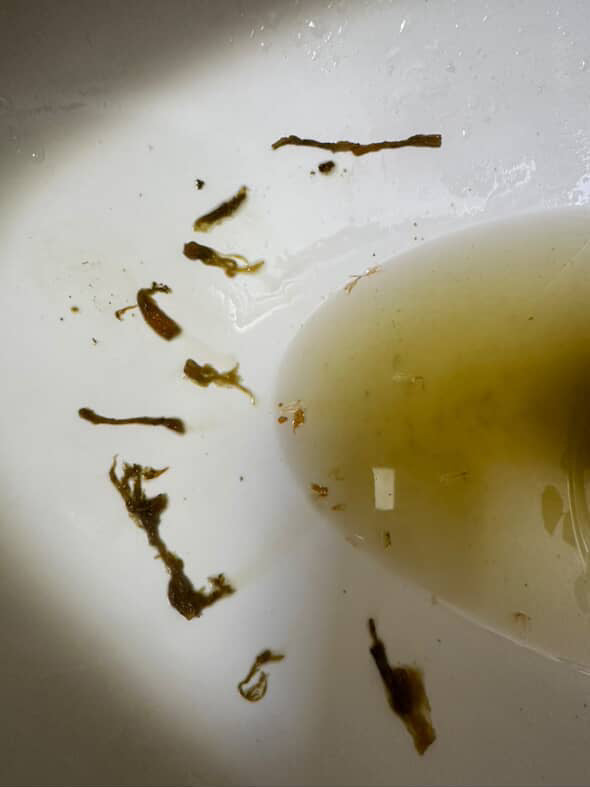 Parasite Cleansing Bundle