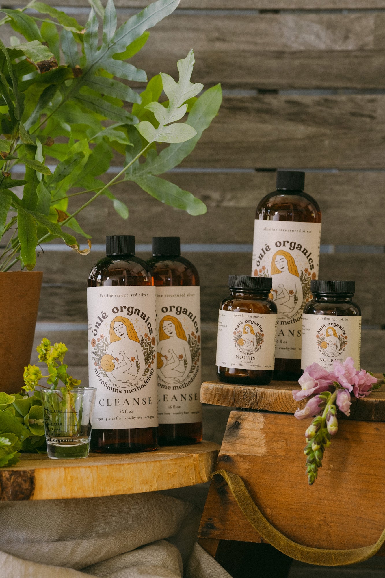 Men's Gut Rebalance Kit